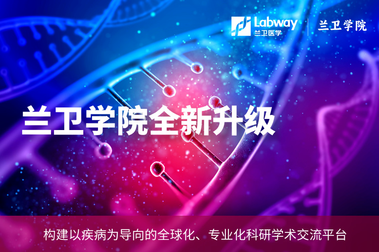 ___ƷԼֻPro__2025-01-21+21_30_26.jpg