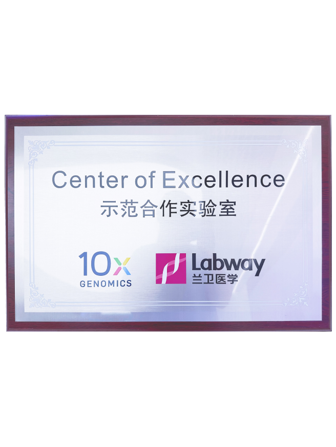 03 ˷Ϸ10Xģʵ.png